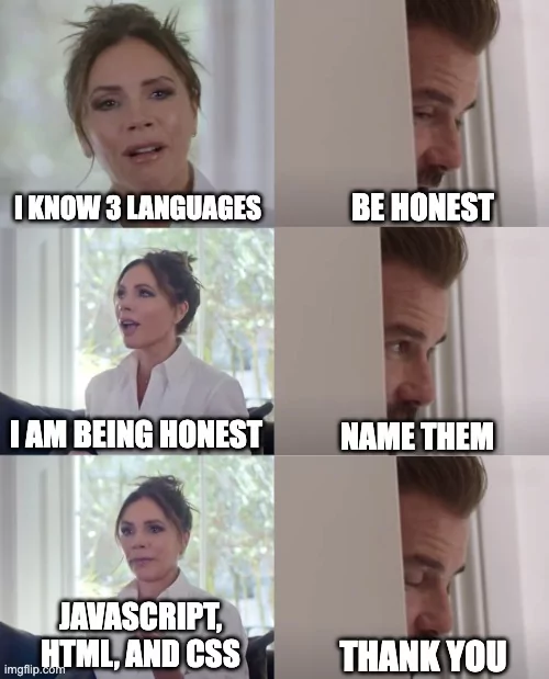 Meme showing how front-end languages still get no respect.